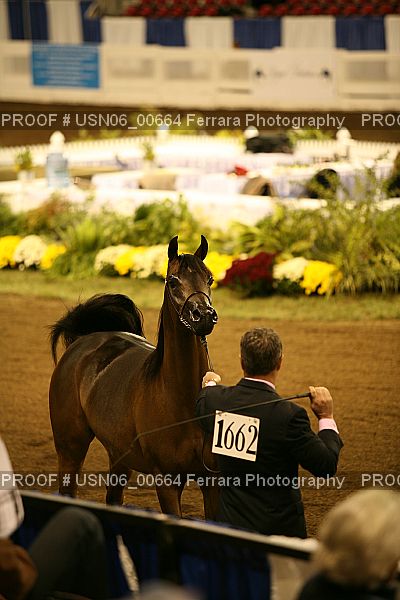 Proof USN06_00664