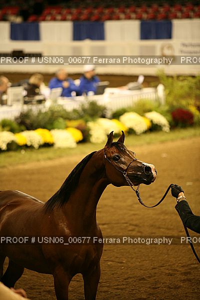 Proof USN06_00677