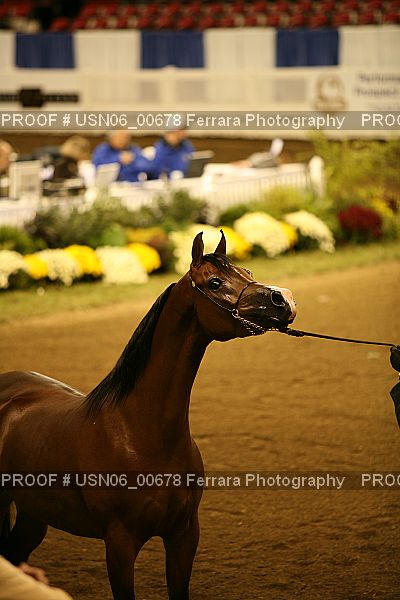 Proof USN06_00678