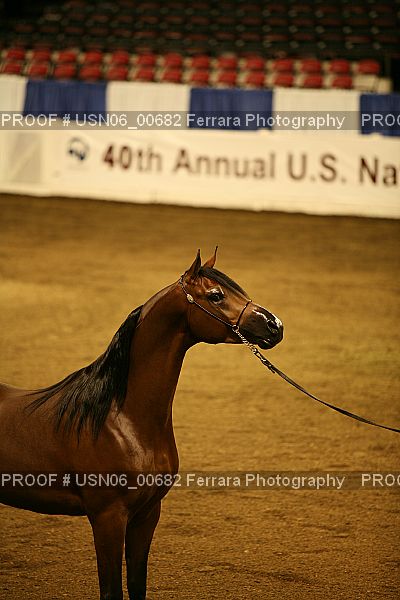 Proof USN06_00682