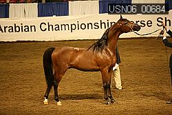 USN06_00684 proof