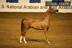 USN06_00686 proof