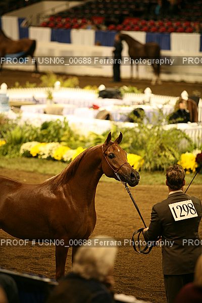 Proof USN06_00688