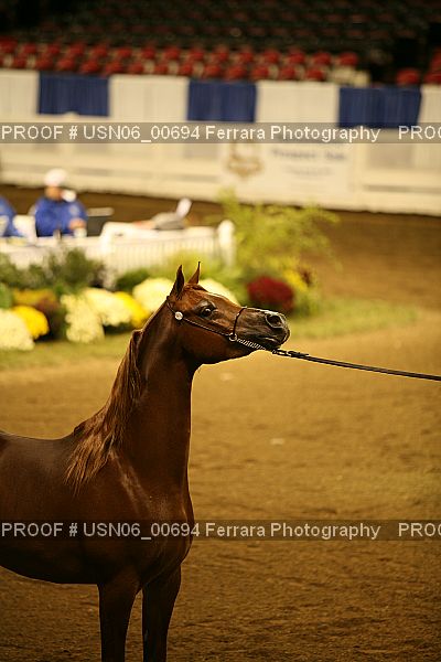 Proof USN06_00694