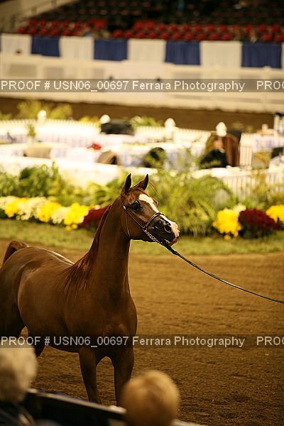 Proof USN06_00697