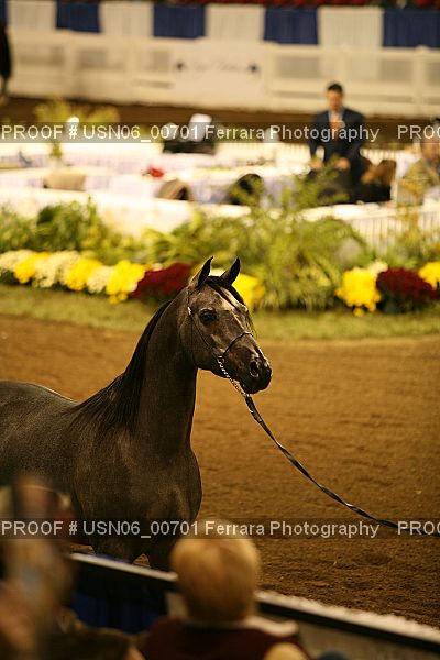 Proof USN06_00701