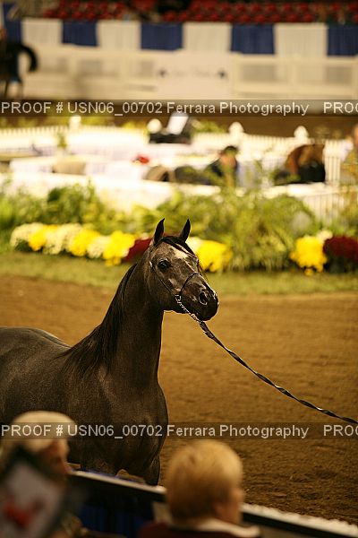 Proof USN06_00702