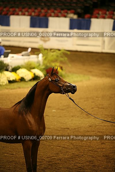 Proof USN06_00709