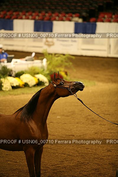 Proof USN06_00710