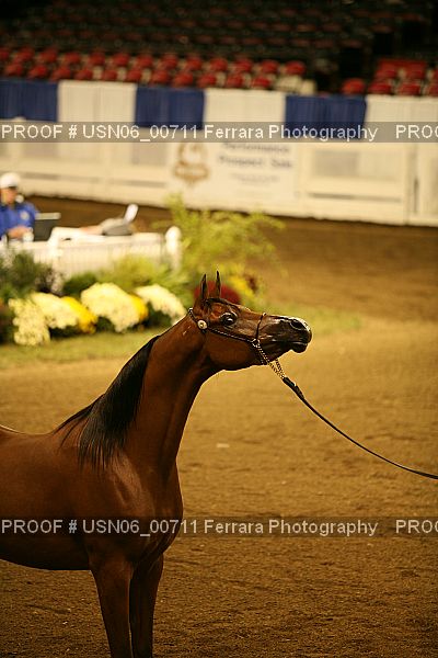 Proof USN06_00711