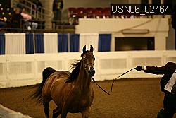 USN06_02464 proof