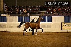 USN06_02465 proof
