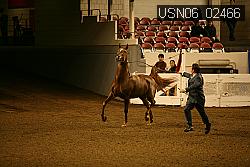 USN06_02466 proof
