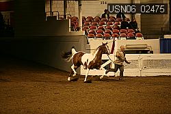 USN06_02475 proof