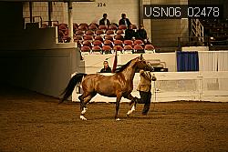 USN06_02478 proof