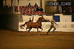 USN06_02480 proof