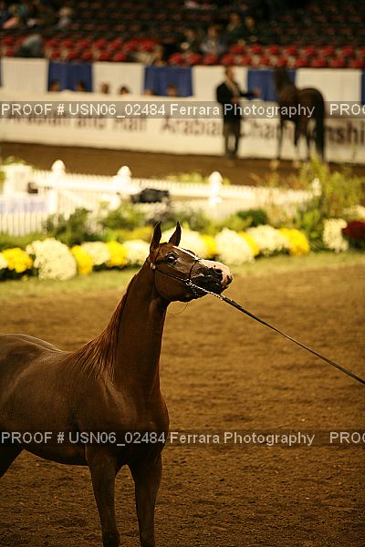 Proof USN06_02484