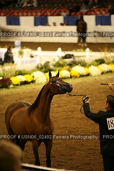 Proof USN06_02492