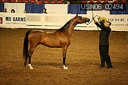 USN06_02494 proof