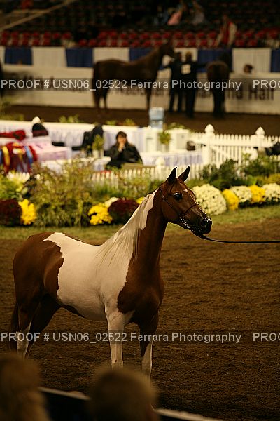 Proof USN06_02522