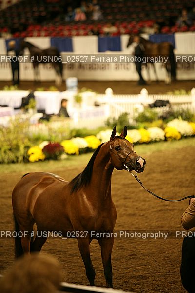 Proof USN06_02527