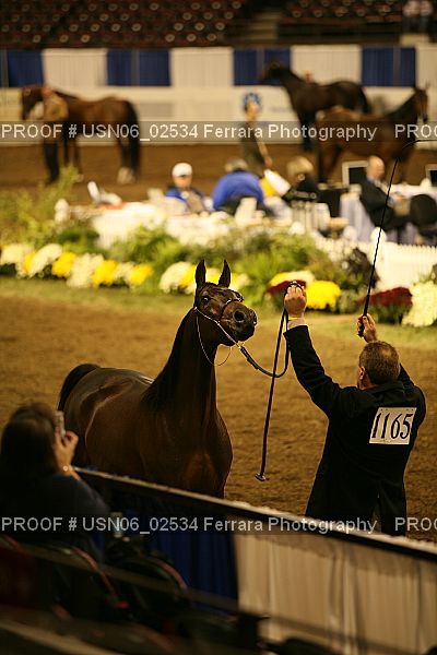 Proof USN06_02534