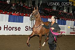 USN06_02575 proof