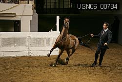 USN06_00784 proof