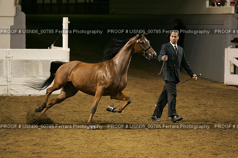 Proof USN06_00785