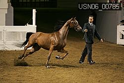 USN06_00785 proof