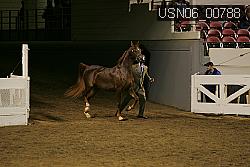 USN06_00788 proof