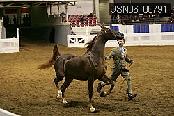 USN06_00791 proof