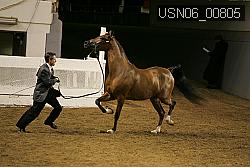 USN06_00805 proof
