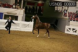 USN06_00809 proof