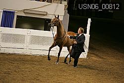 USN06_00812 proof