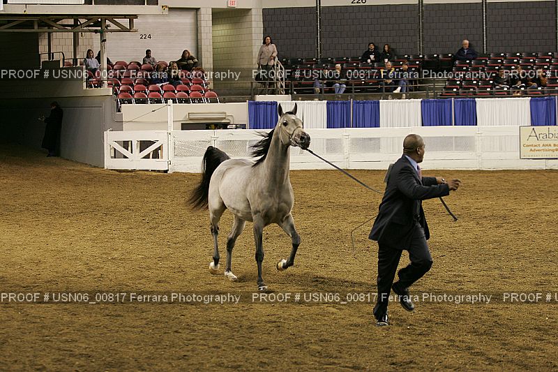 Proof USN06_00817
