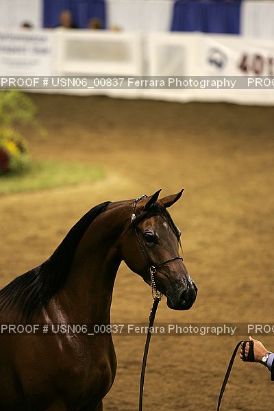 Proof USN06_00837