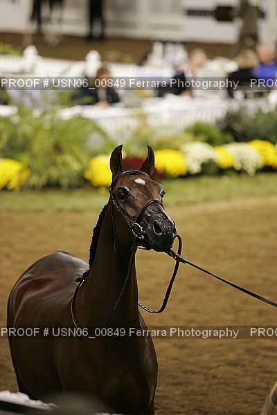 Proof USN06_00849