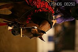 USN06_08250 proof