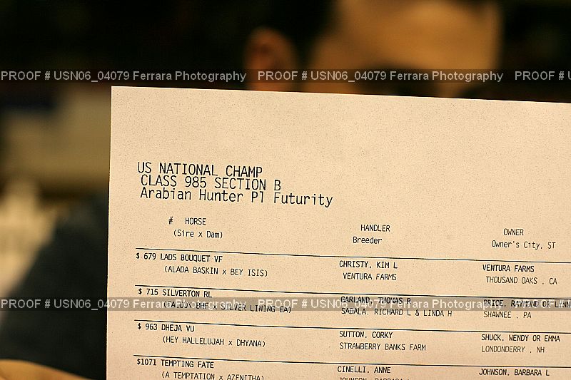 Proof USN06_04079