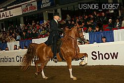 USN06_00957 proof