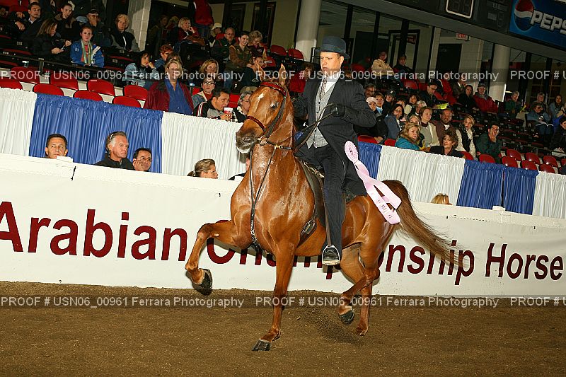 Proof USN06_00961