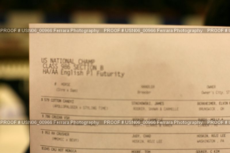 Proof USN06_00966