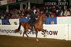 USN06_00971 proof
