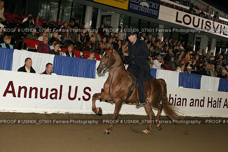 Proof USN06_07901