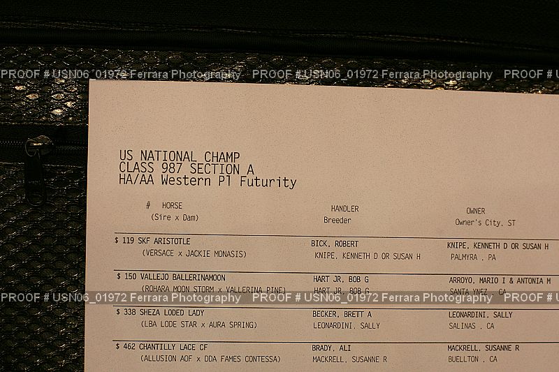 Proof USN06_01972