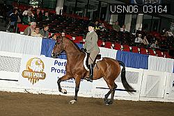 USN06_03164 proof