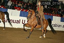 USN06_01141 proof