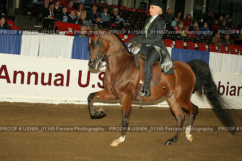 Proof USN06_01165