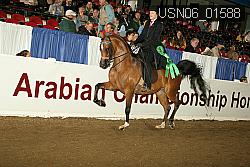 USN06_01588 proof